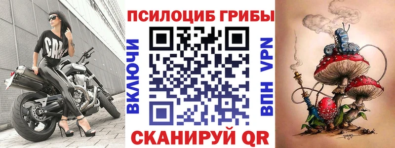 Галлюциногенные грибы Cubensis  где купить   Кудымкар 